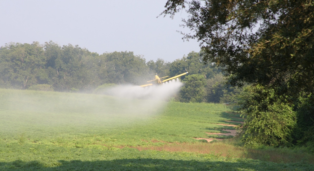 A plane sprays pesticide from the air onto a field of crops.