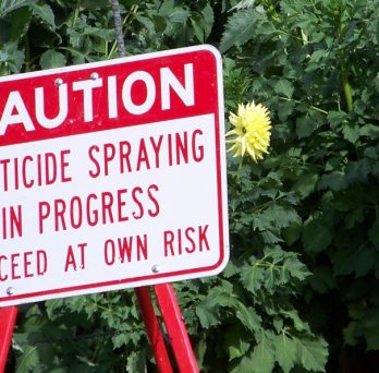 A sign in a park warns visitors that pesticide spraying is in progress.
                  