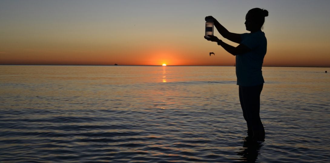 Collecting water at Lake Michigan to test for contaminants